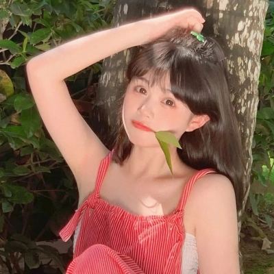 凤凰战机2下载最新版